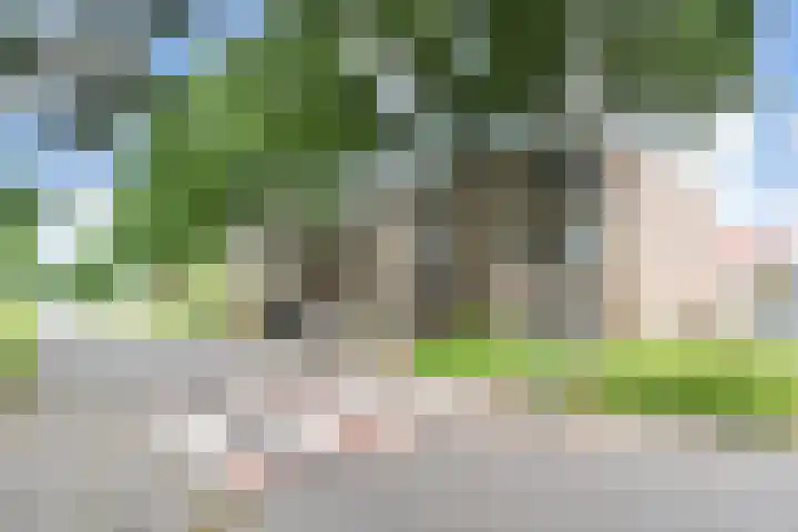 Ruimtebaan 130 Zoetermeer thumbnail 31
