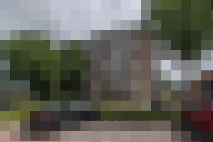 Ruimtebaan 201 Zoetermeer thumbnail 14