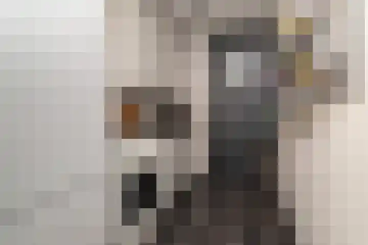Ruimtebaan 201 Zoetermeer thumbnail 4