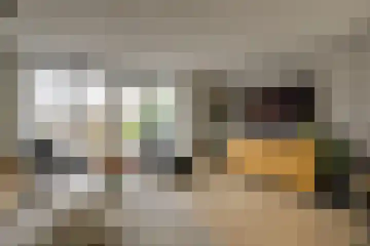 Ruimtebaan 305 Zoetermeer thumbnail 10