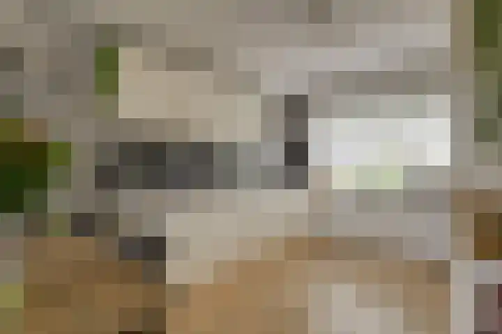 Ruimtebaan 305 Zoetermeer thumbnail 12
