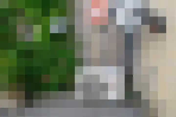 Ruimtebaan 305 Zoetermeer thumbnail 20
