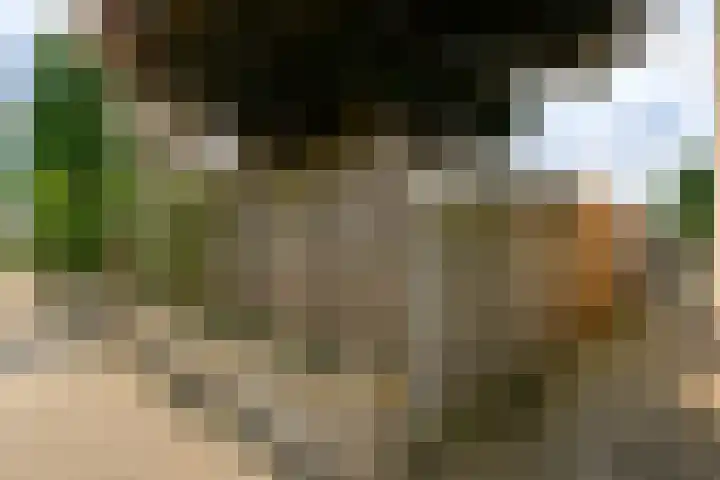 Ruimtebaan 305 Zoetermeer thumbnail 22