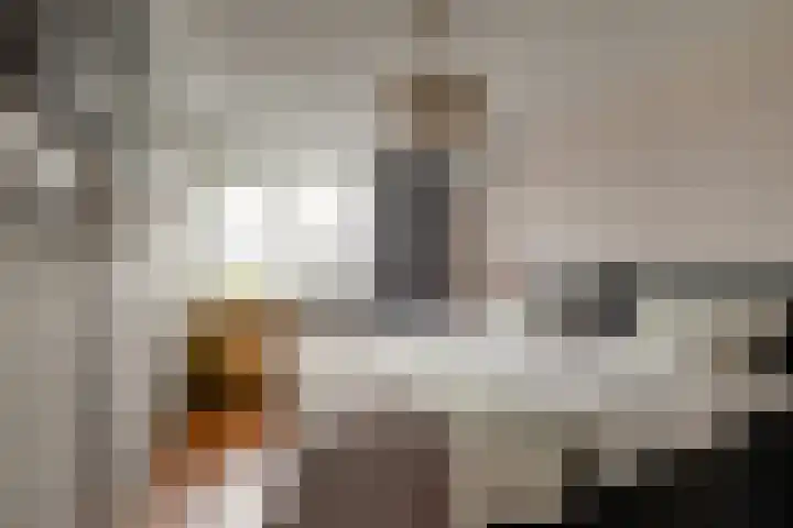 Ruimtebaan 305 Zoetermeer thumbnail 27