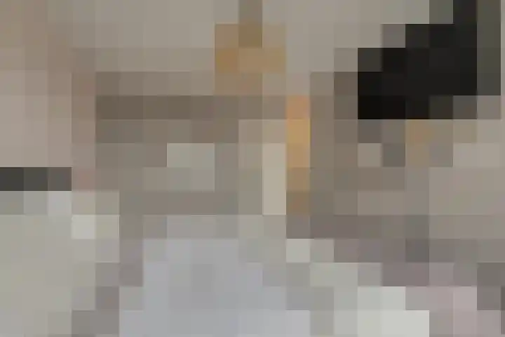 Ruimtebaan 305 Zoetermeer thumbnail 28