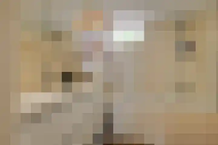 Ruimtebaan 305 Zoetermeer thumbnail 30
