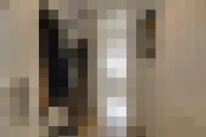 Ruimtebaan 305 Zoetermeer thumbnail 7