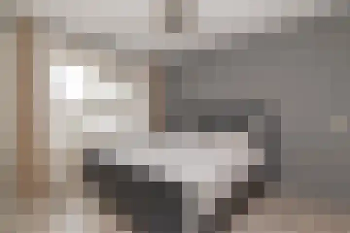 Ruimtebaan 99 Zoetermeer thumbnail 10