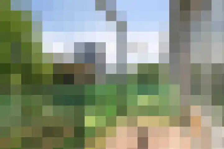 Ruimtevaartbaan 121 IJsselstein thumbnail 10