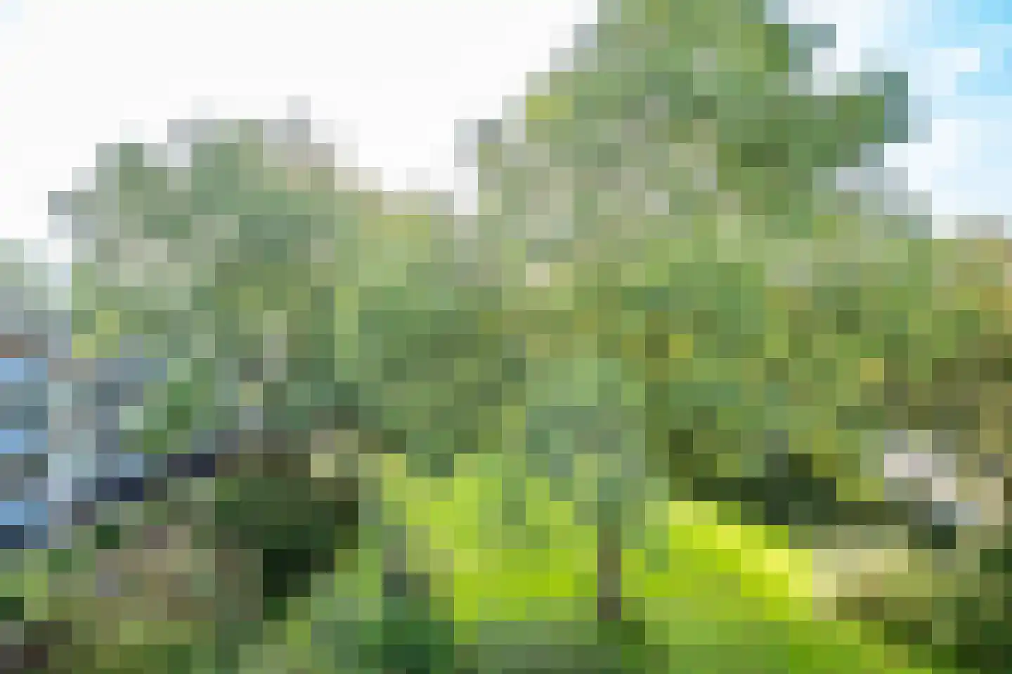Ruimtevaartbaan 121 IJsselstein thumbnail 15