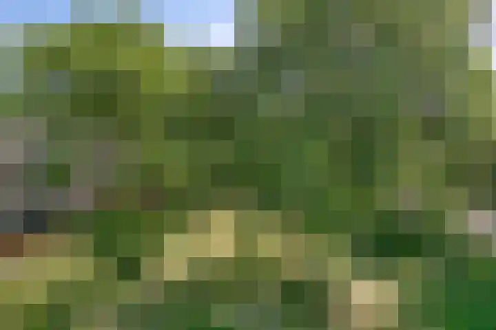 Ruimtevaartbaan 121 IJsselstein thumbnail 19