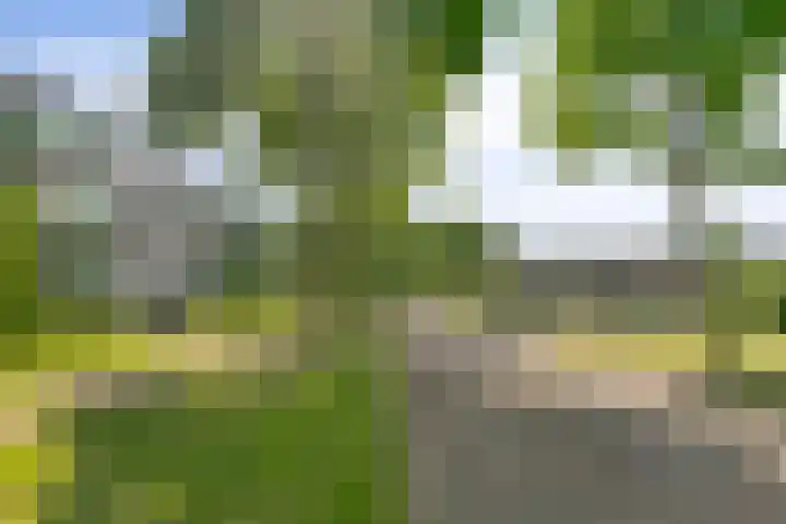 Ruimtevaartbaan 121 IJsselstein thumbnail 20