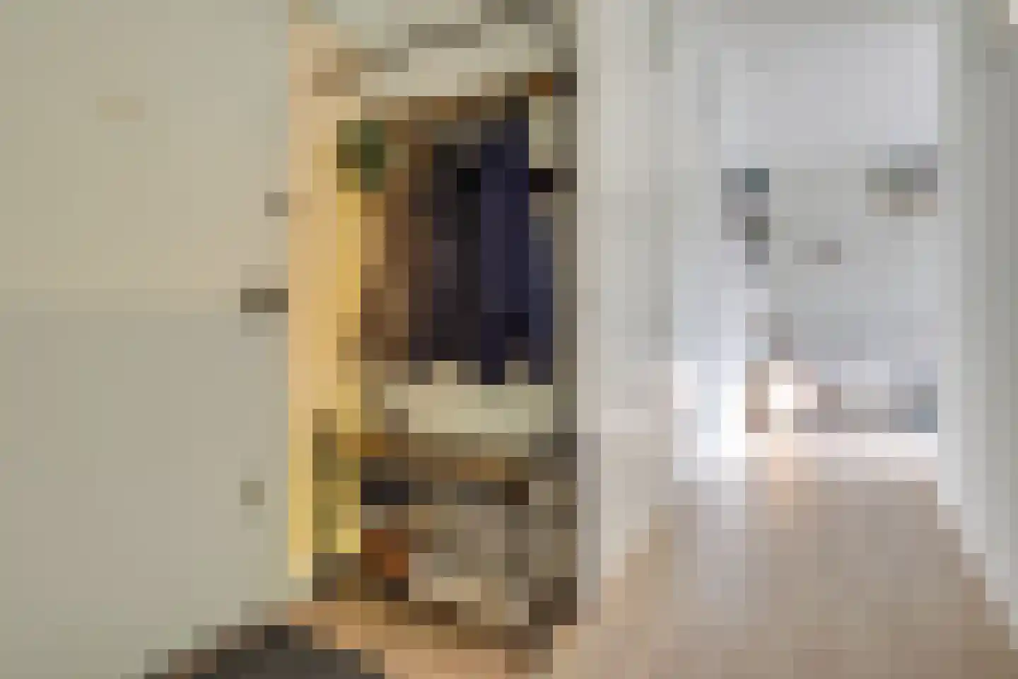 Ruimtevaartbaan 121 IJsselstein thumbnail 5