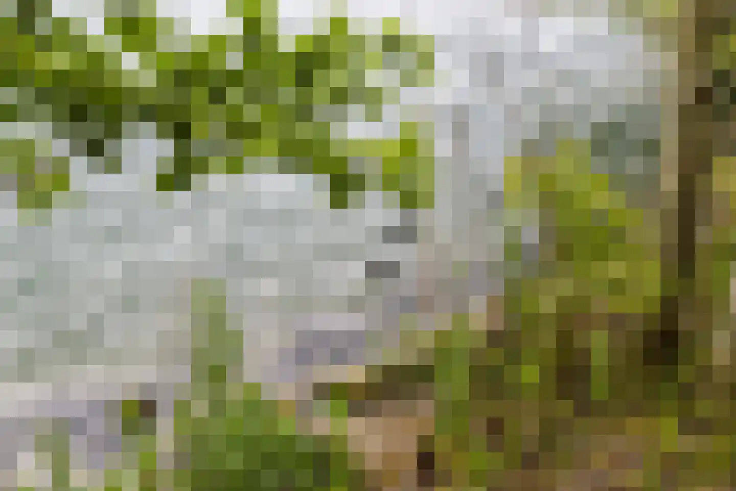Ruimtevaartbaan 13 IJsselstein thumbnail 57