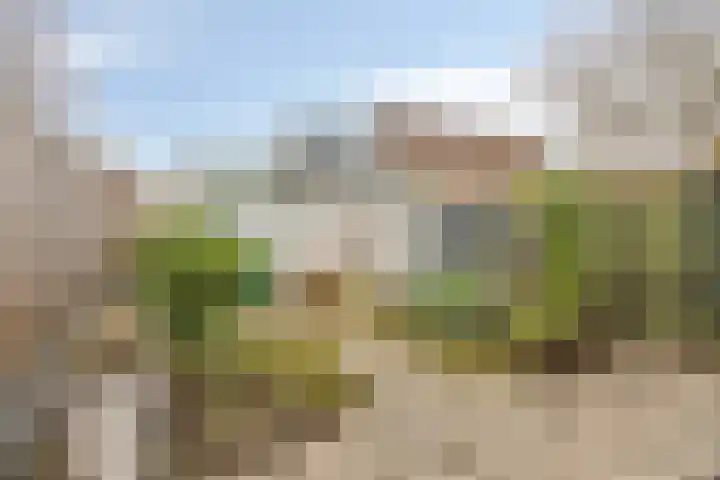 Ruimtevaartbaan 21 IJsselstein thumbnail 28