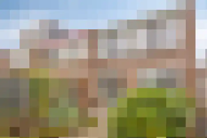 Ruimtevaartbaan 21 IJsselstein thumbnail 4