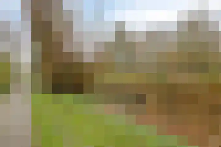 Ruimtevaartbaan 21 IJsselstein thumbnail 5