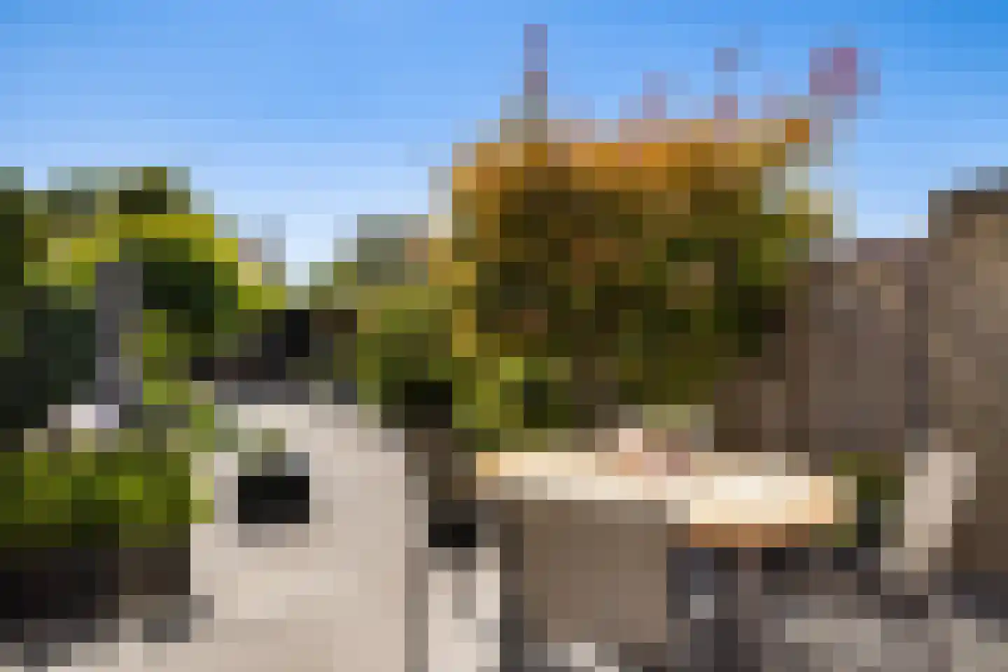Ruimtevaartbaan 80 IJsselstein thumbnail 4
