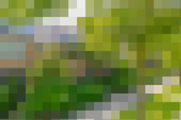 Ruimtevaartlaan 15 Krommenie