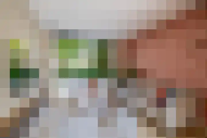Ruimtevaartlaan 15 Krommenie thumbnail 12