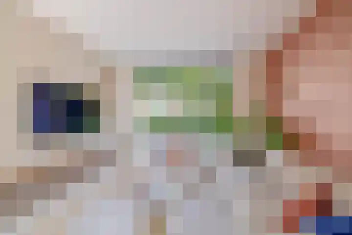 Ruimtevaartlaan 15 Krommenie thumbnail 13