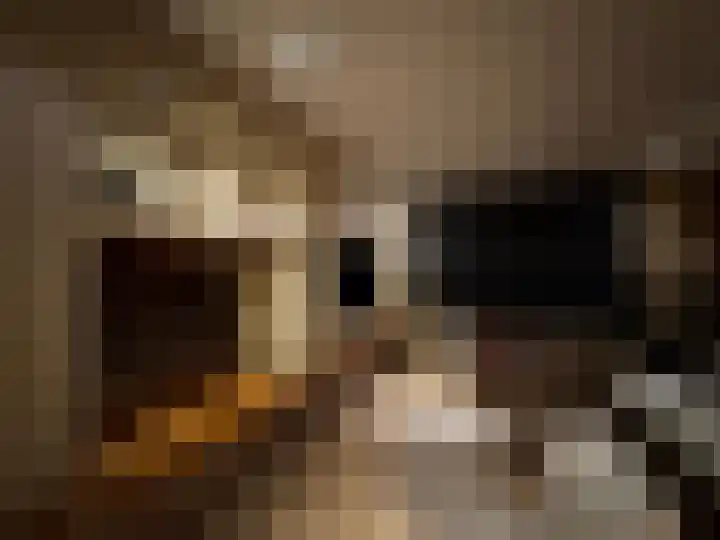 Ruimtevaartlaan 15 Krommenie thumbnail 14