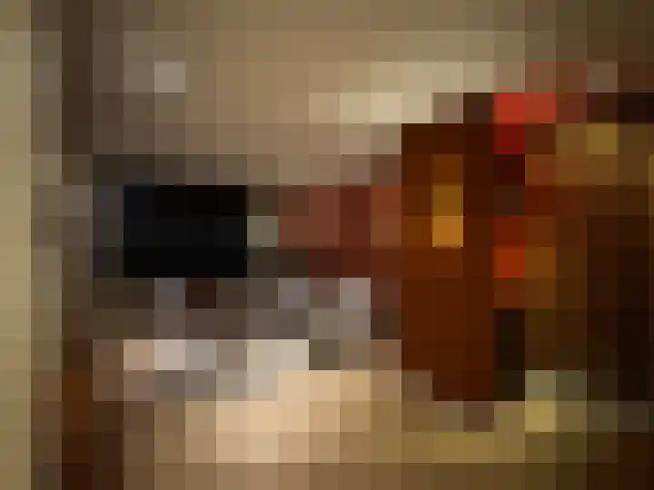Ruimtevaartlaan 15 Krommenie thumbnail 18