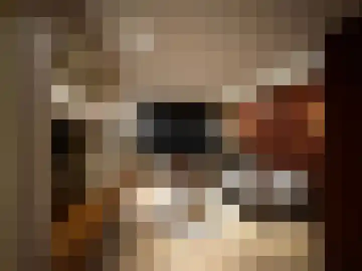 Ruimtevaartlaan 15 Krommenie foto 2