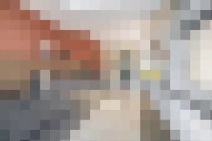 Ruimtevaartlaan 15 Krommenie thumbnail 23