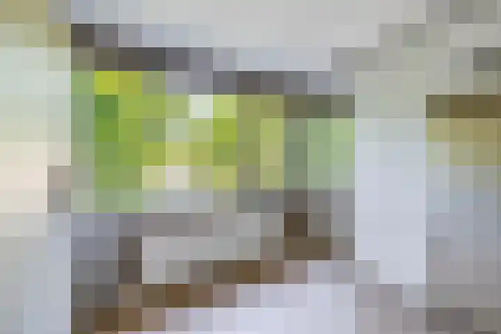 Ruimtevaartlaan 15 Krommenie thumbnail 28