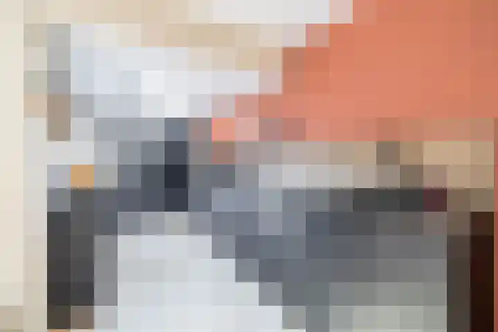 Ruimtevaartlaan 15 Krommenie foto 3