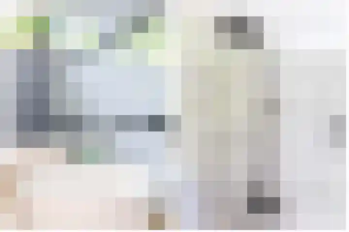 Ruimtevaartlaan 15 Krommenie thumbnail 30
