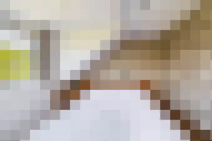 Ruimtevaartlaan 15 Krommenie thumbnail 36