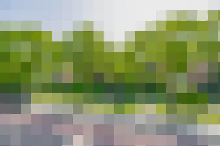 Ruimtevaartlaan 15 Krommenie thumbnail 5