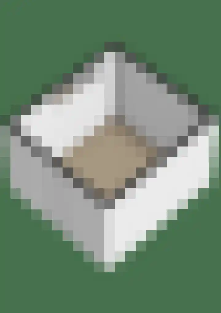 Ruimtevaartlaan 15 Krommenie thumbnail 53