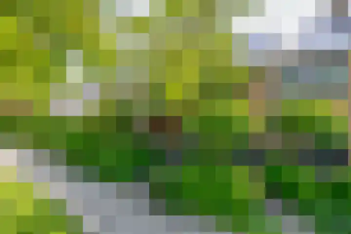 Ruimtevaartlaan 15 Krommenie thumbnail 6
