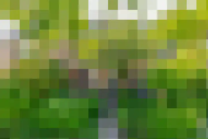 Ruimtevaartlaan 15 Krommenie thumbnail 7