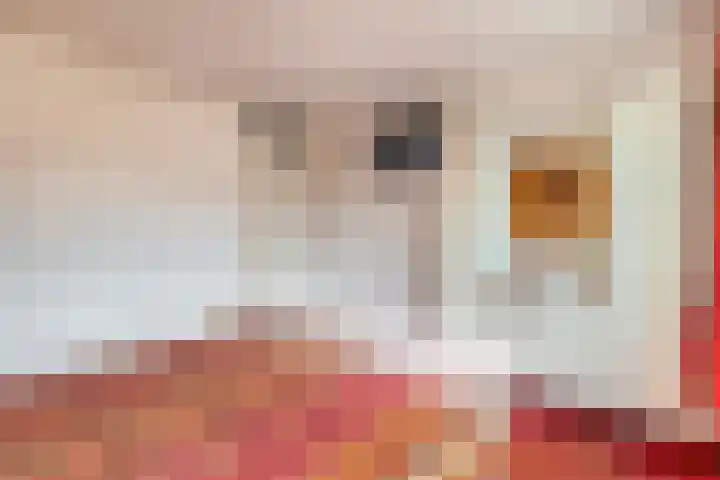 Ruimtevaartlaan 16 Hoogezand thumbnail 21