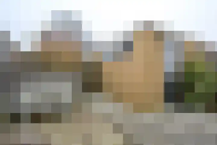 Ruimtevaartlaan 19 Krommenie thumbnail 10