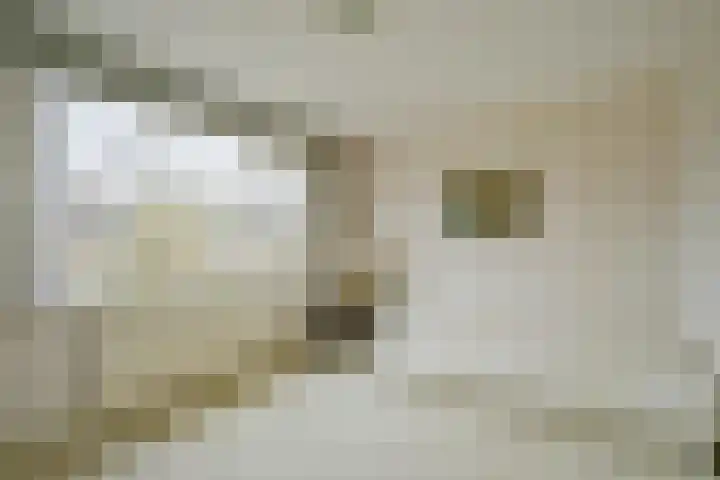Ruimtevaartlaan 19 Krommenie thumbnail 17