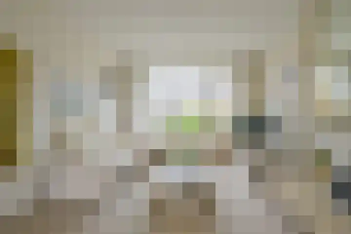 Ruimtevaartlaan 19 Krommenie foto 2