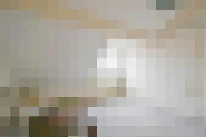 Ruimtevaartlaan 19 Krommenie thumbnail 22