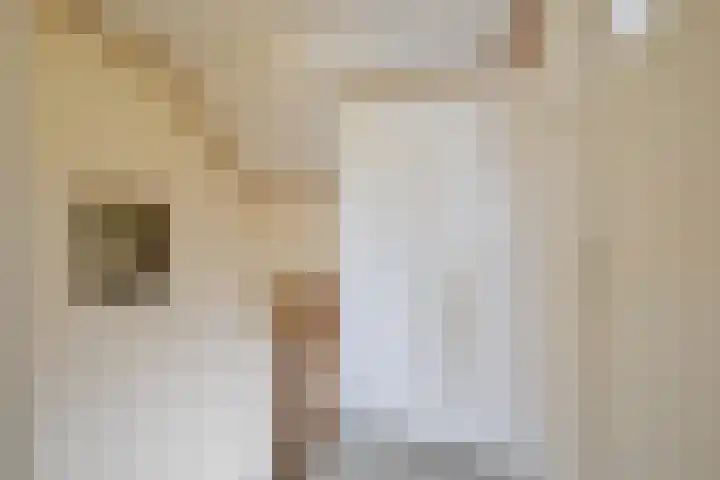 Ruimtevaartlaan 19 Krommenie thumbnail 25