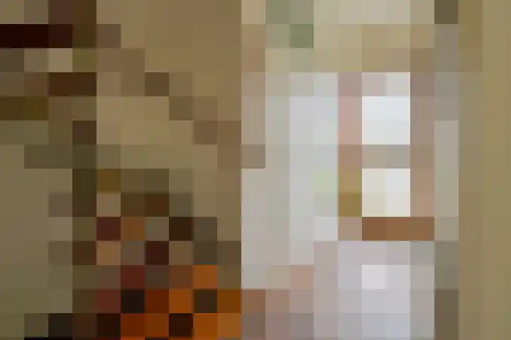 Ruimtevaartlaan 19 Krommenie thumbnail 27