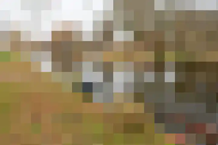Ruimtevaartlaan 19 Krommenie thumbnail 31