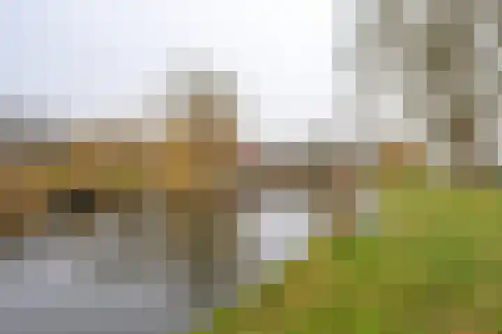 Ruimtevaartlaan 19 Krommenie thumbnail 32