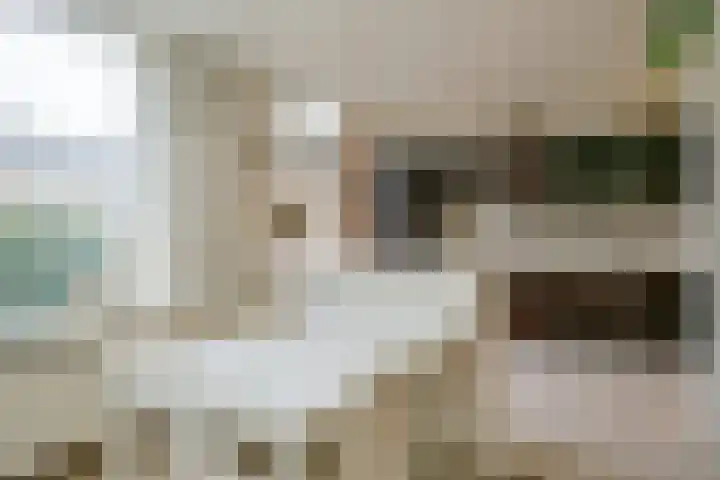 Ruimtevaartlaan 19 Krommenie thumbnail 6