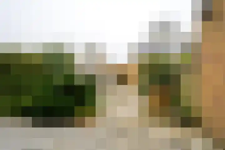 Ruimtevaartlaan 19 Krommenie thumbnail 8
