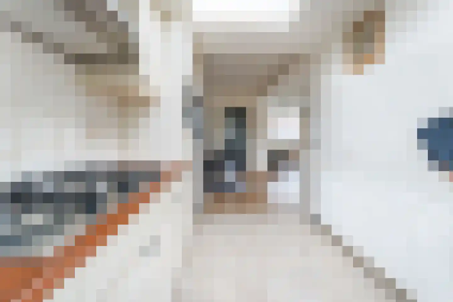 Ruimtevaartlaan 29 Krommenie thumbnail 18