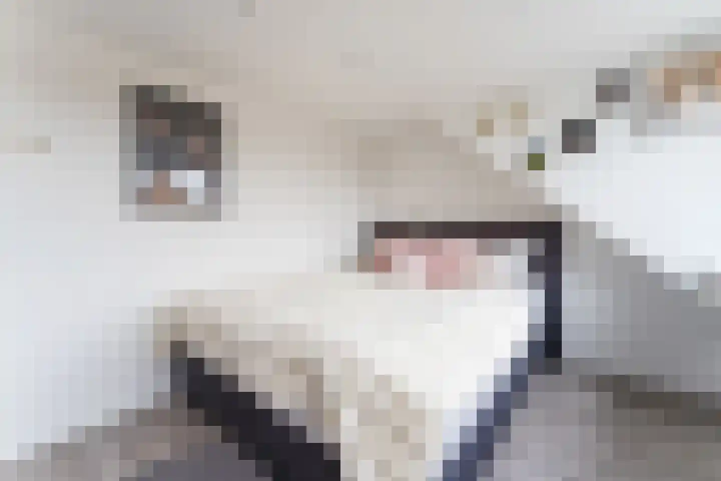 Ruimtevaartlaan 29 Krommenie thumbnail 35